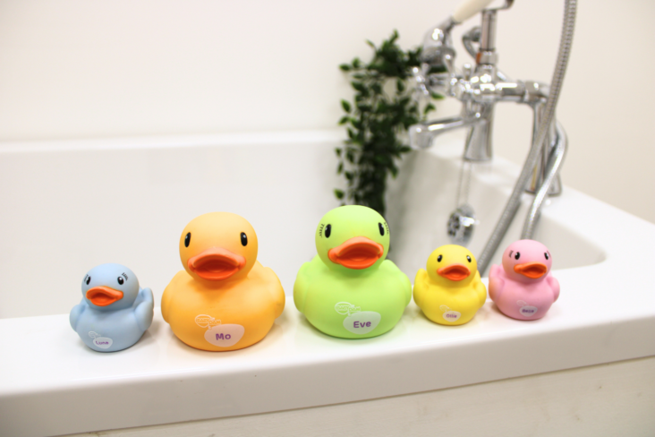 BabyDam family of ducks